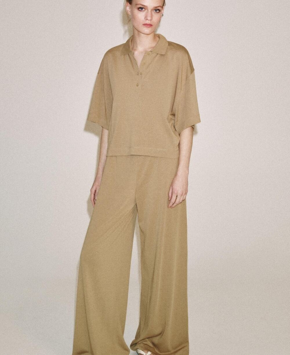 Zara Trafluca Tan Wide Leg Kick Pleat Dress Pants Sz L Career Academia Classic